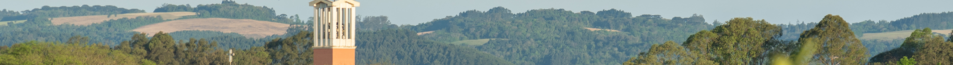 Licitações
